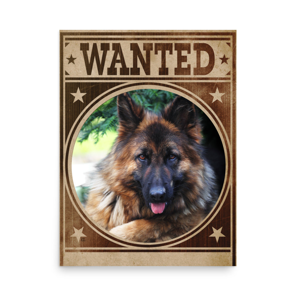 German Shepherd Mug Shot Wanted Poster