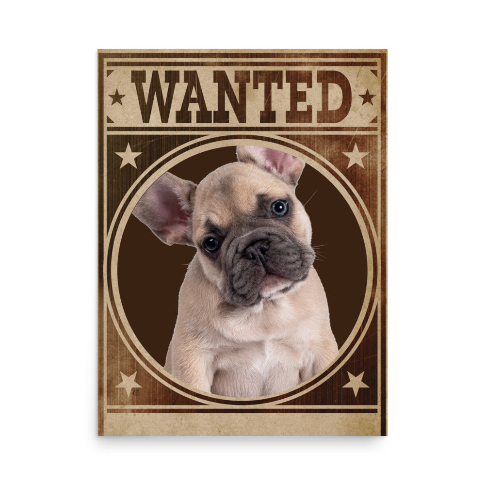 French Bulldog Mug Shot Wanted Poster