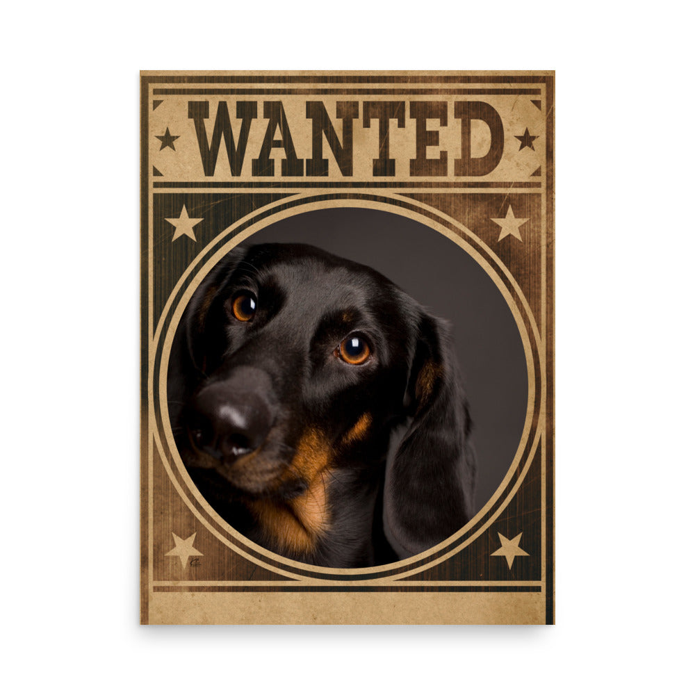 Dachshund Mug Shot Wanted Poster