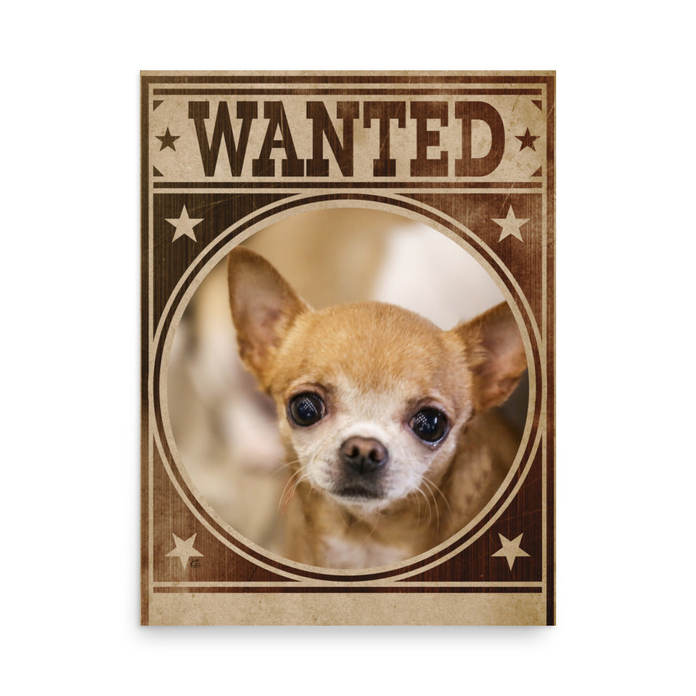 Chihuahua Mug Shot Wanted Poster