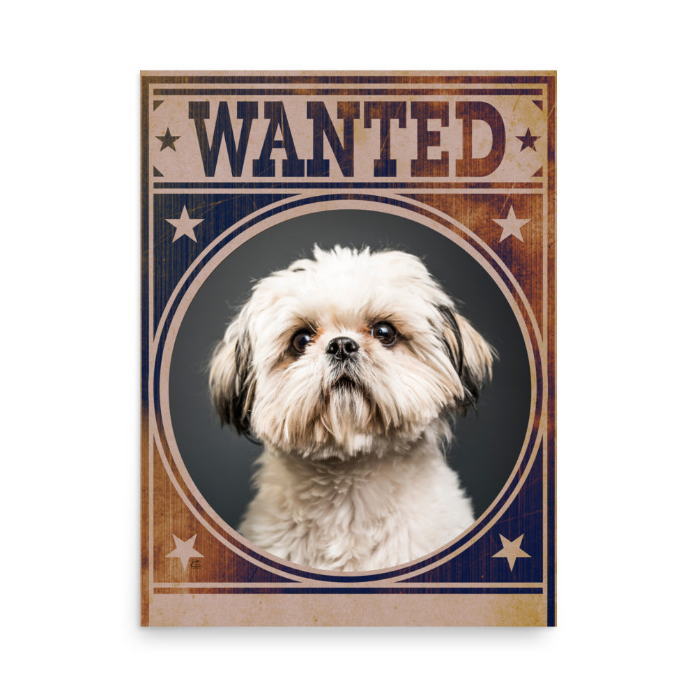 Shih Tzu Mug Shot Wanted Poster