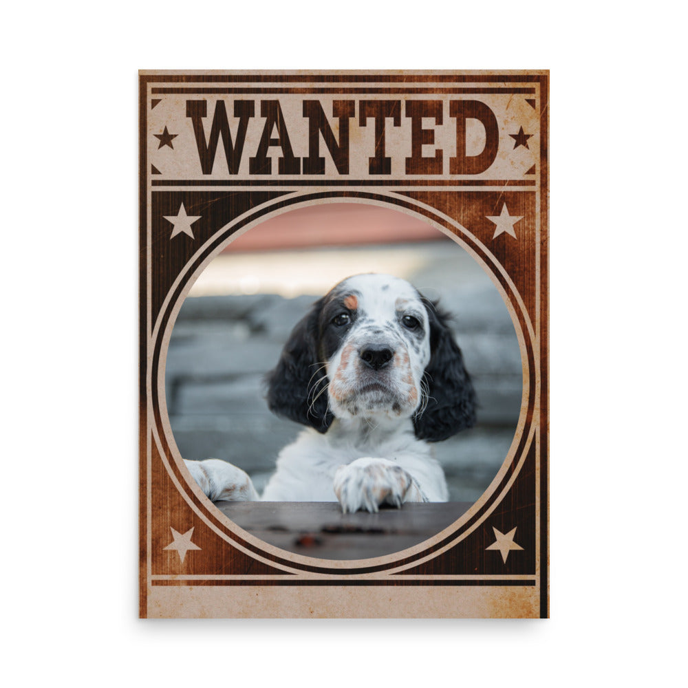 English Setter Mug Shot Wanted Poster