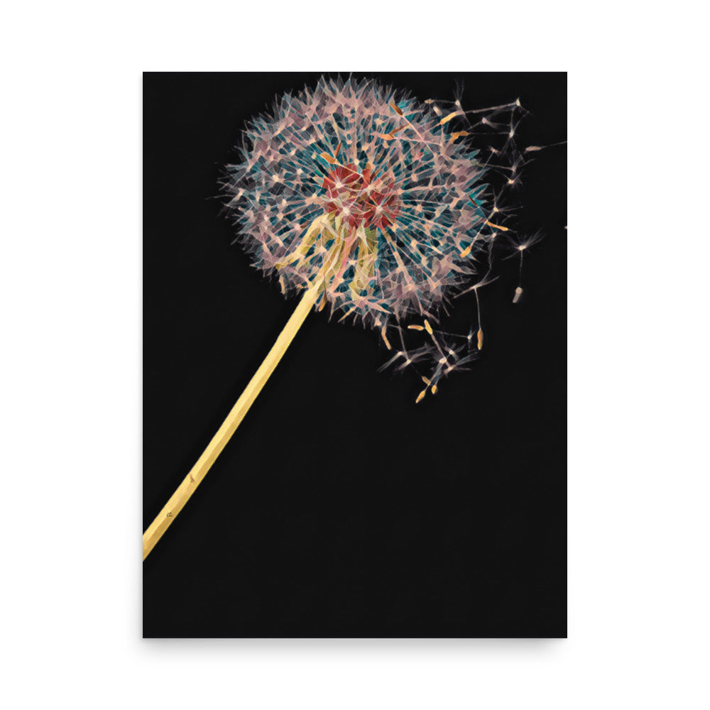 Dandelion Puffball on Black Floral Art Poster