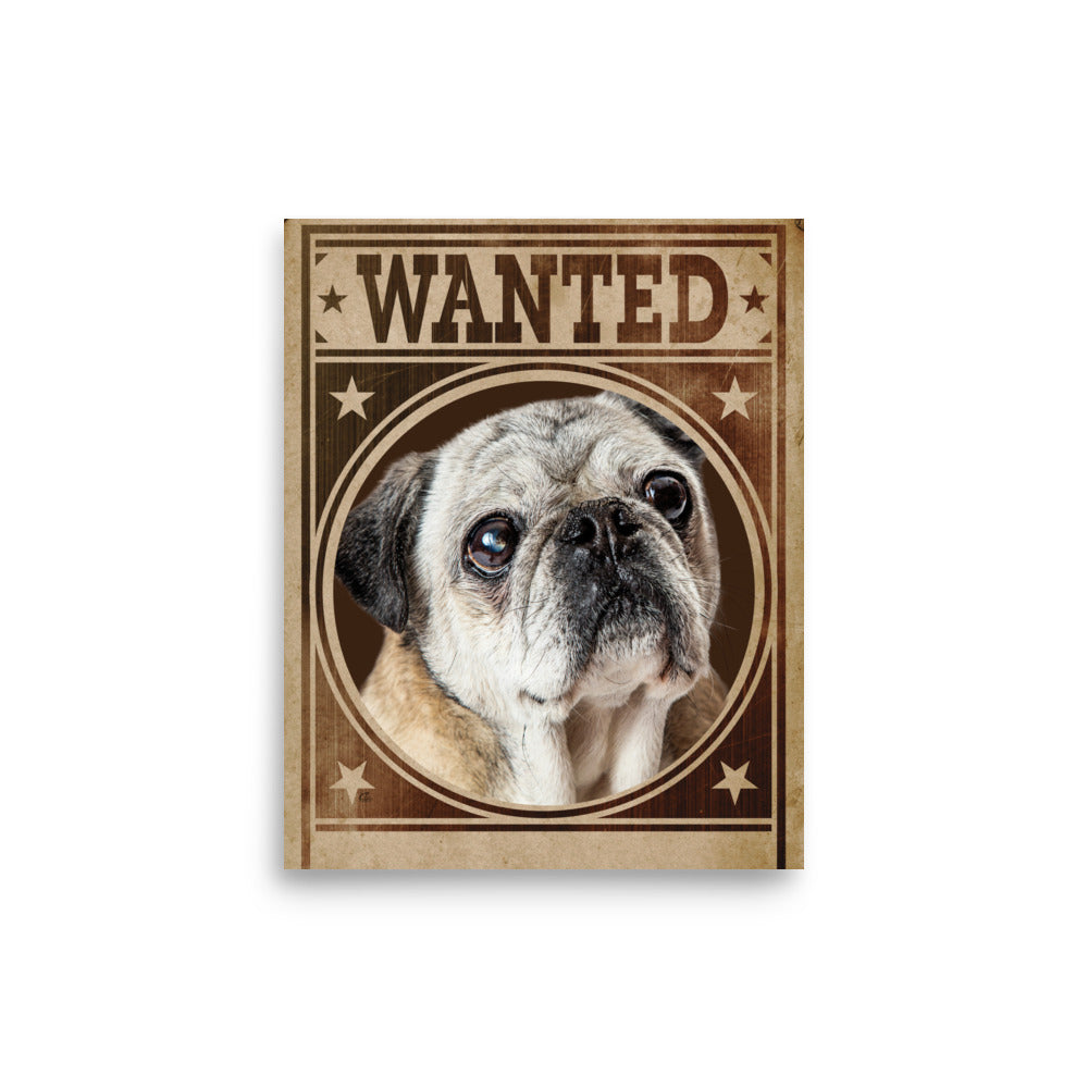 Pug Shot Wanted Poster