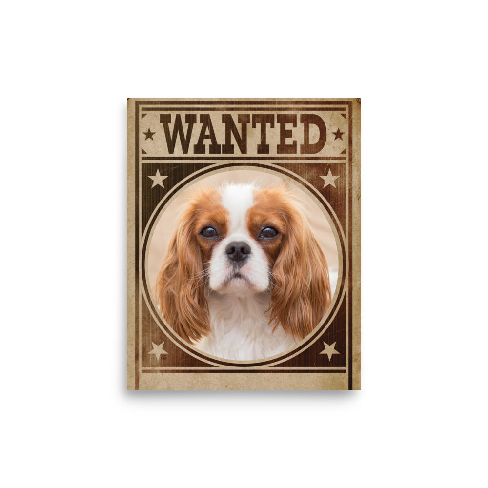 Cavalier King Charles Spaniel Mug Shot Wanted Poster