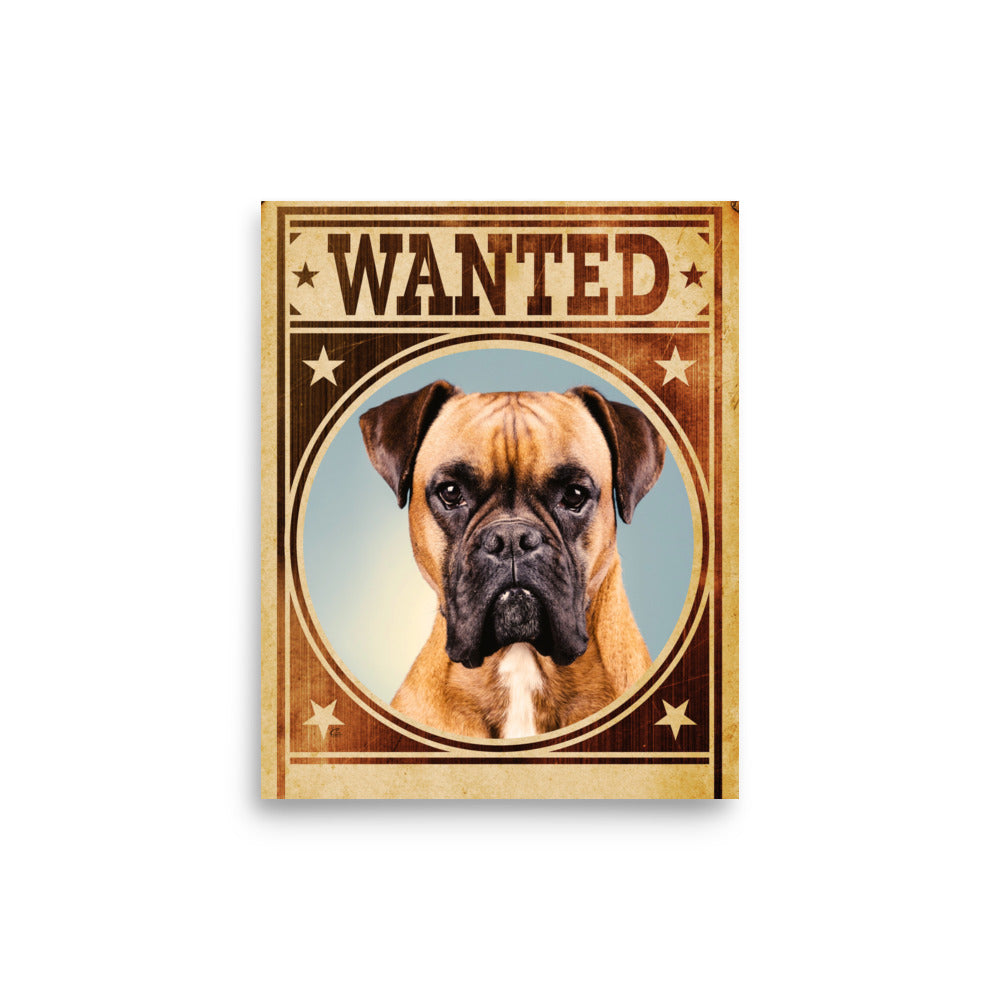 Boxer Mug Shot Wanted Poster