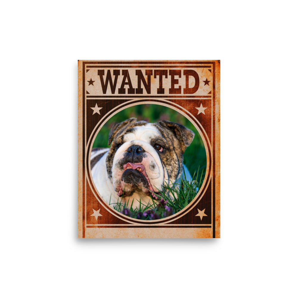 Bulldog Mug Shot Wanted Poster