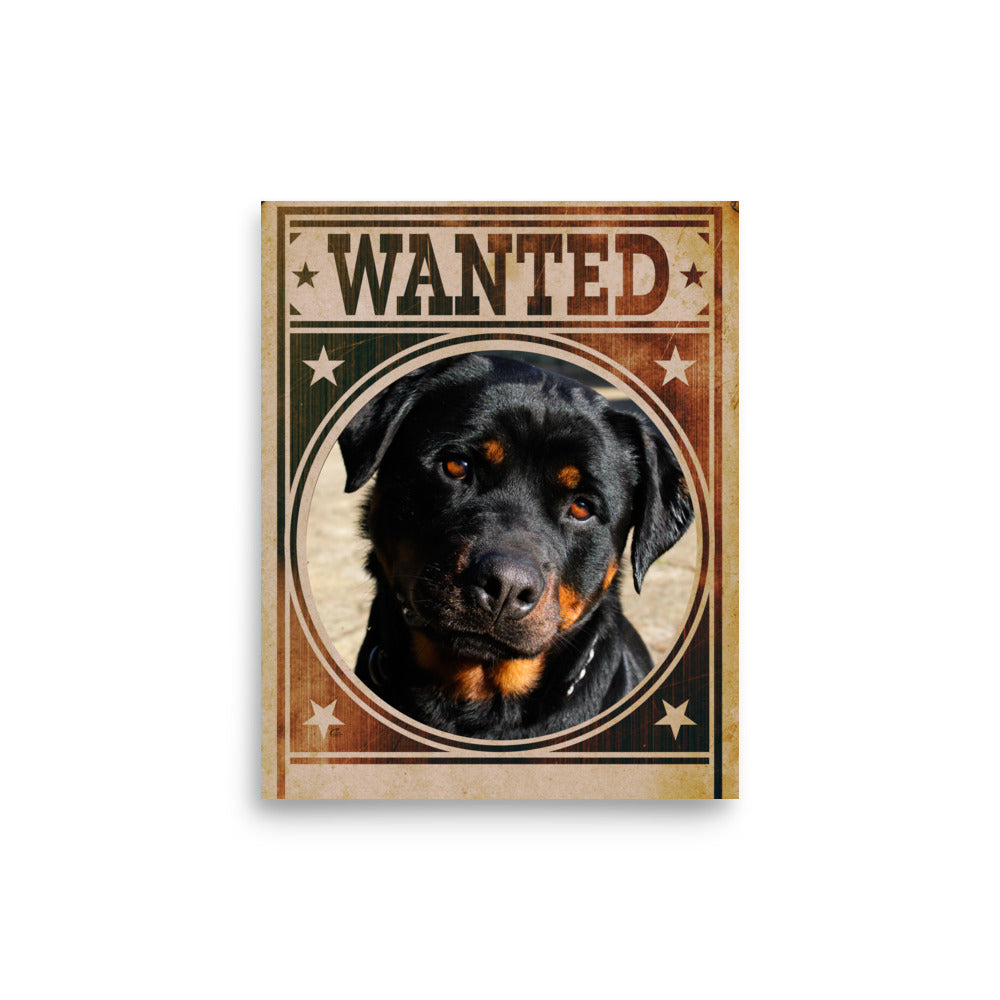 Rottweiler Mug Shot Wanted Poster