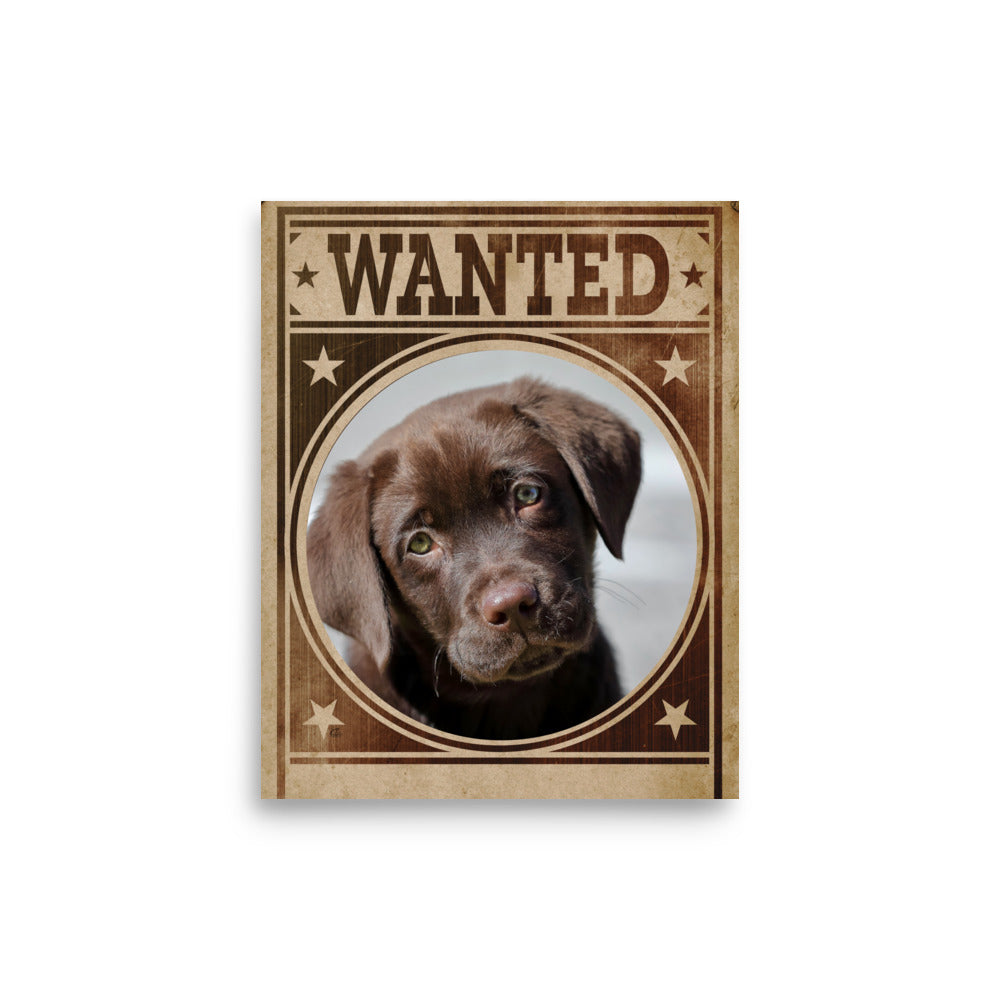 Labrador Mug Shot Wanted Poster