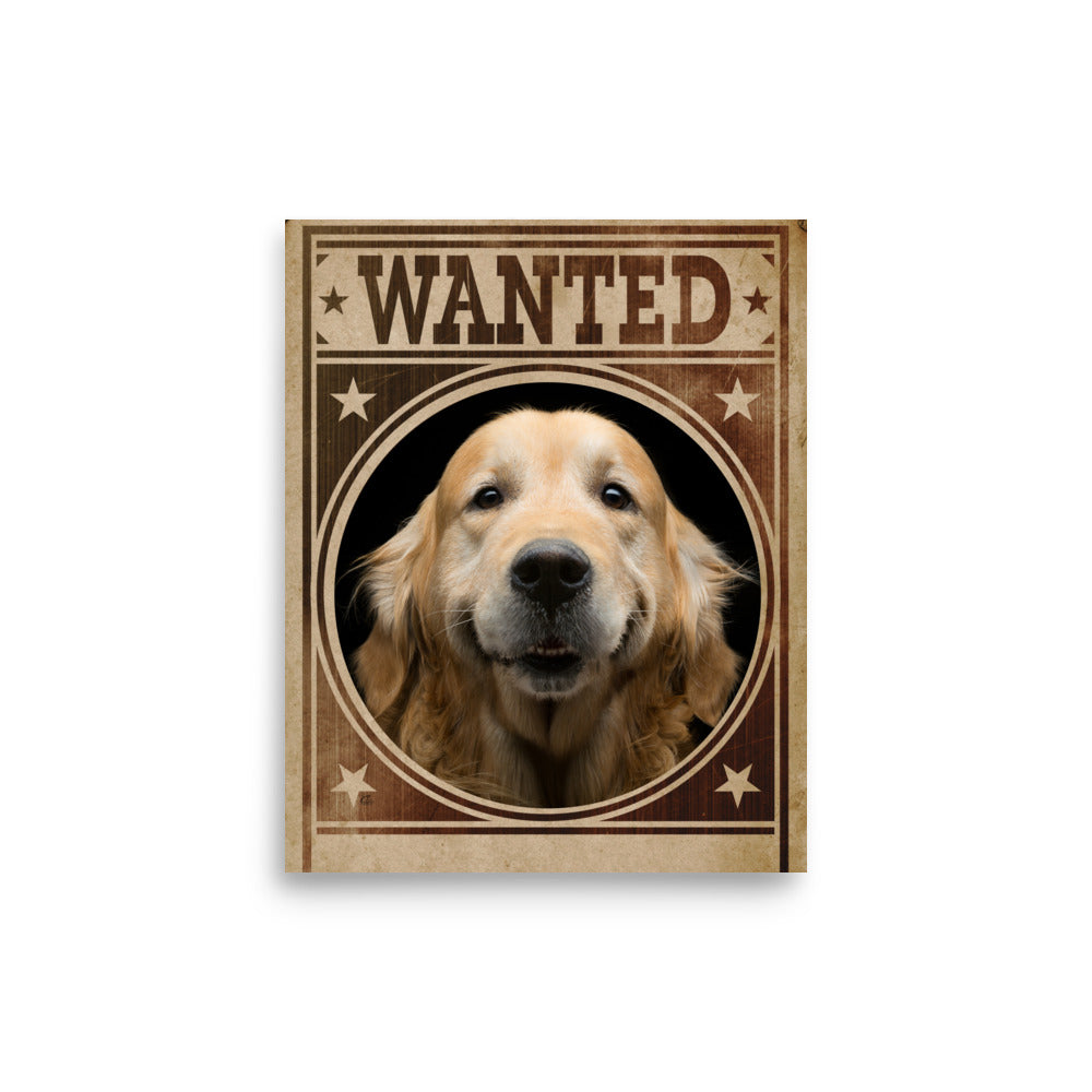 Golden Retriever Mug Shot Wanted Poster