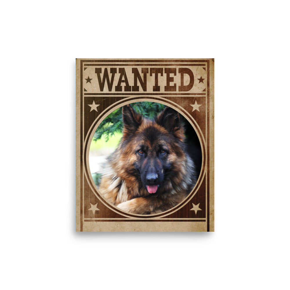 German Shepherd Mug Shot Wanted Poster