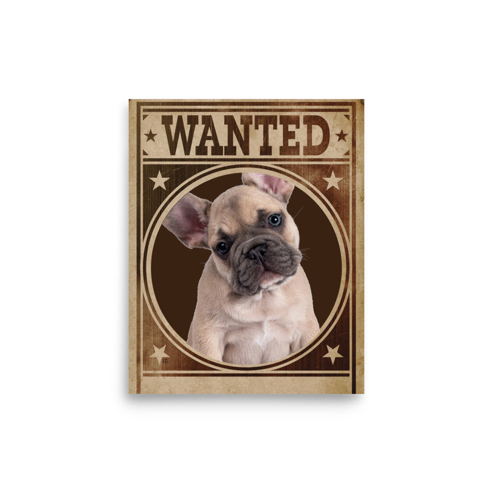 French Bulldog Mug Shot Wanted Poster