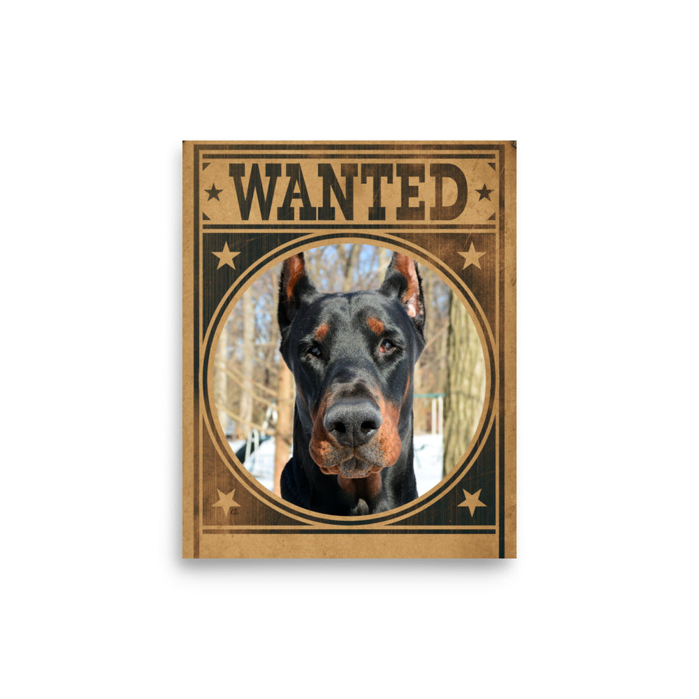 Doberman Pinscher Mug Shot Wanted Poster