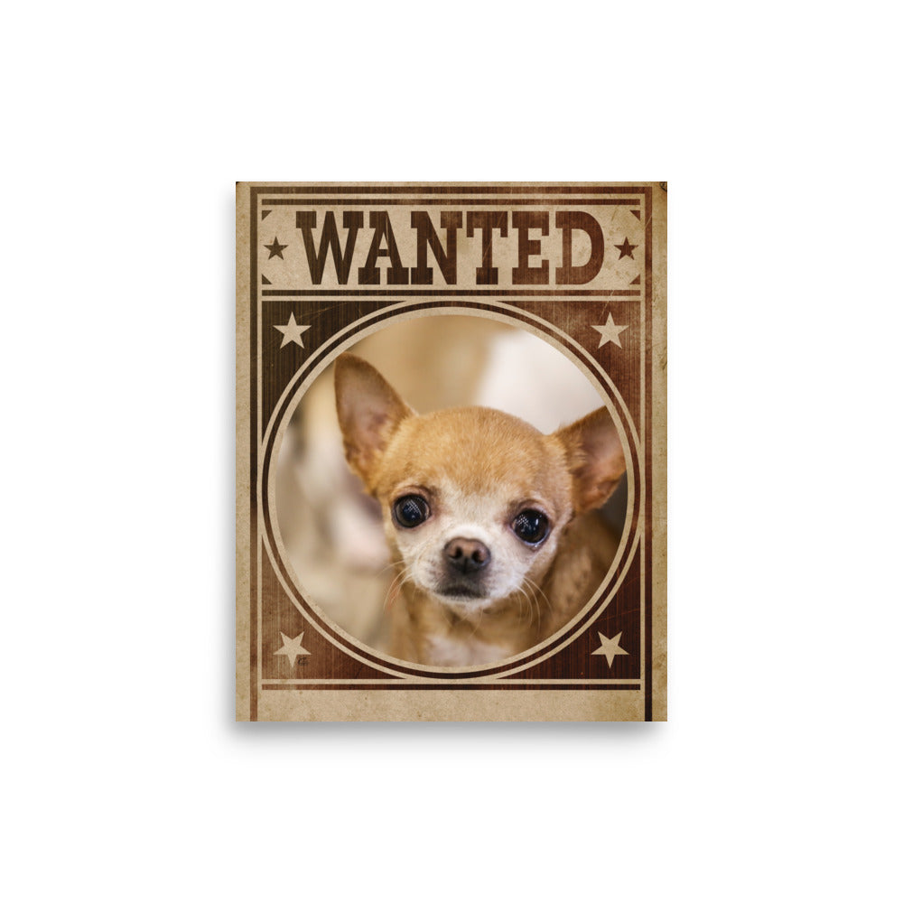 Chihuahua Mug Shot Wanted Poster