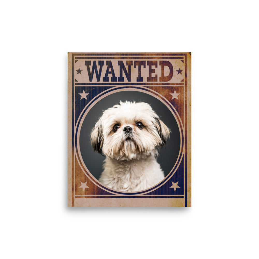 Shih Tzu Mug Shot Wanted Poster