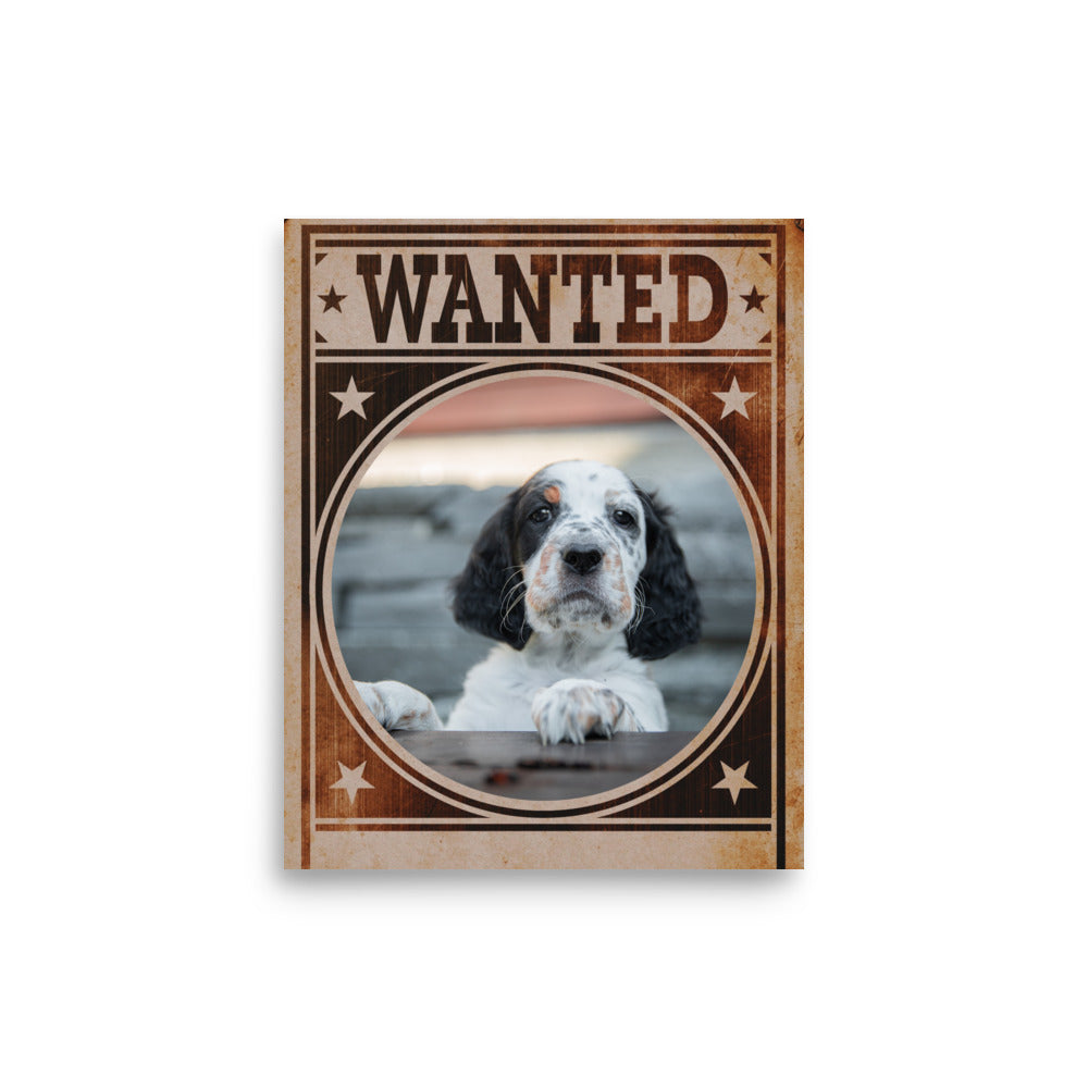 English Setter Mug Shot Wanted Poster