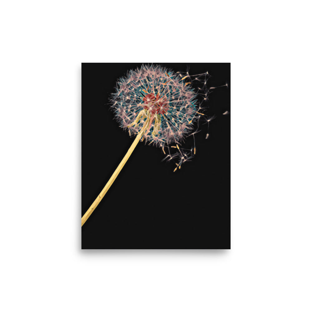 Dandelion Puffball on Black Floral Art Poster