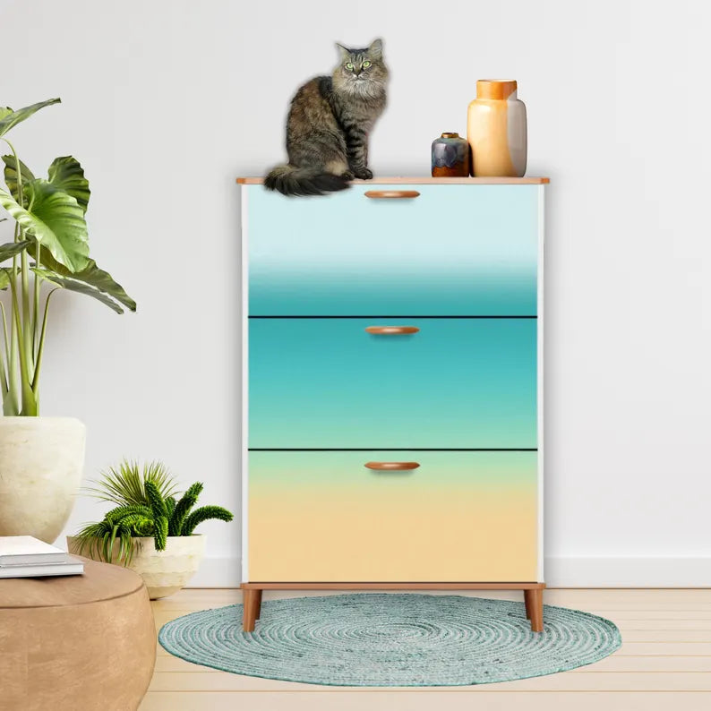 Shoe Cabinet (Made in USA)