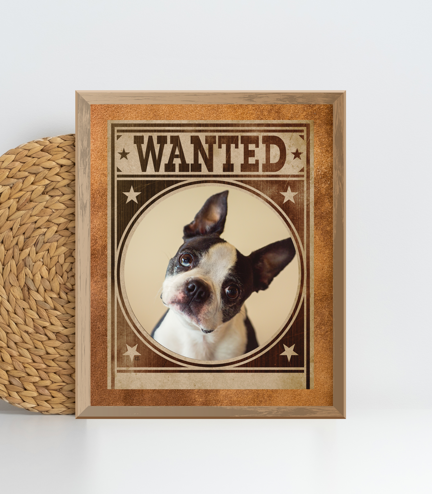 Boston Terrier Mug Shot Wanted Poster