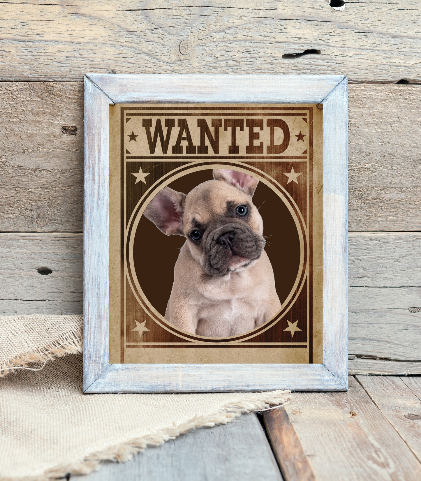 French Bulldog Mug Shot Wanted Poster