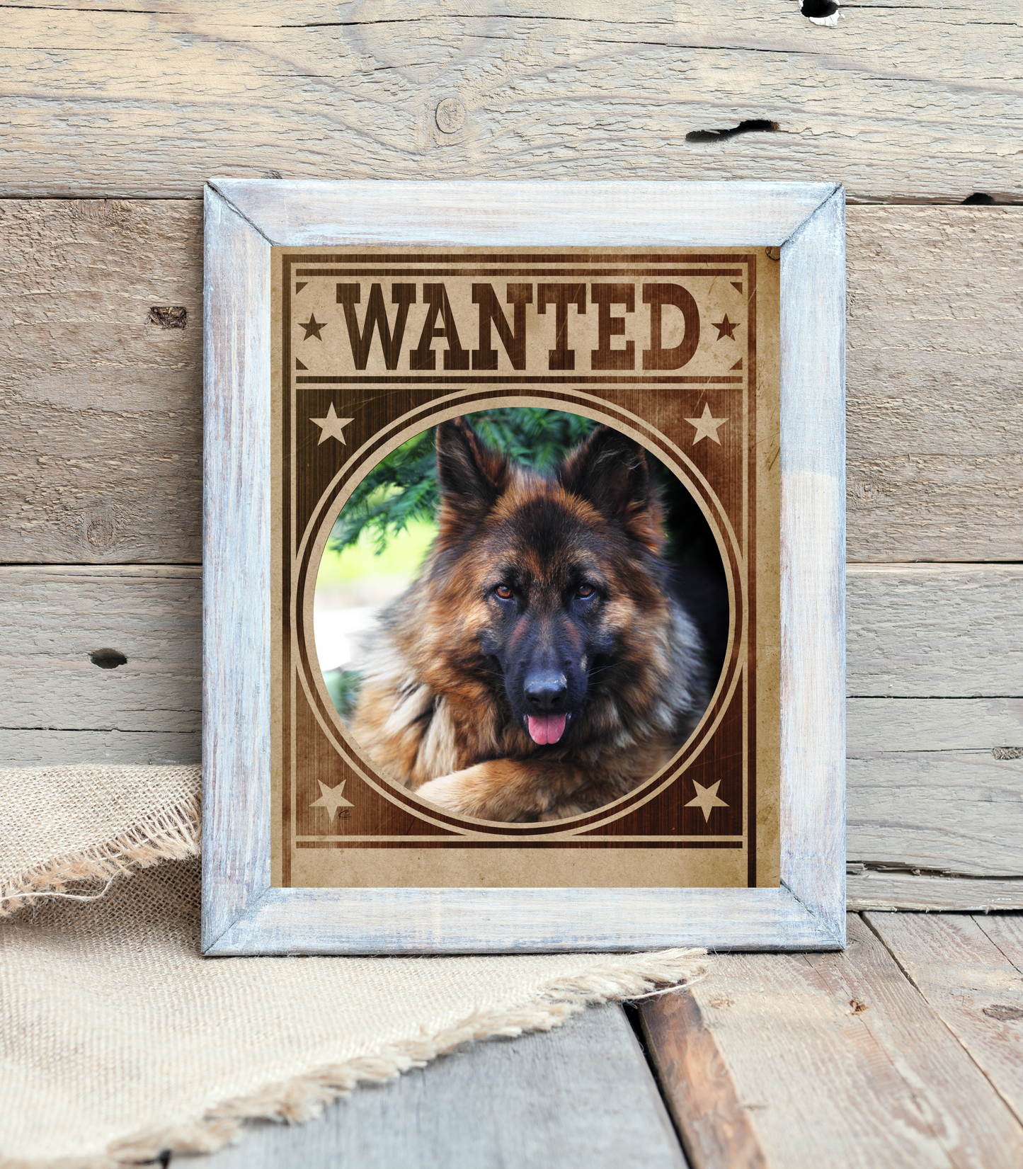 German Shepherd Mug Shot Wanted Poster