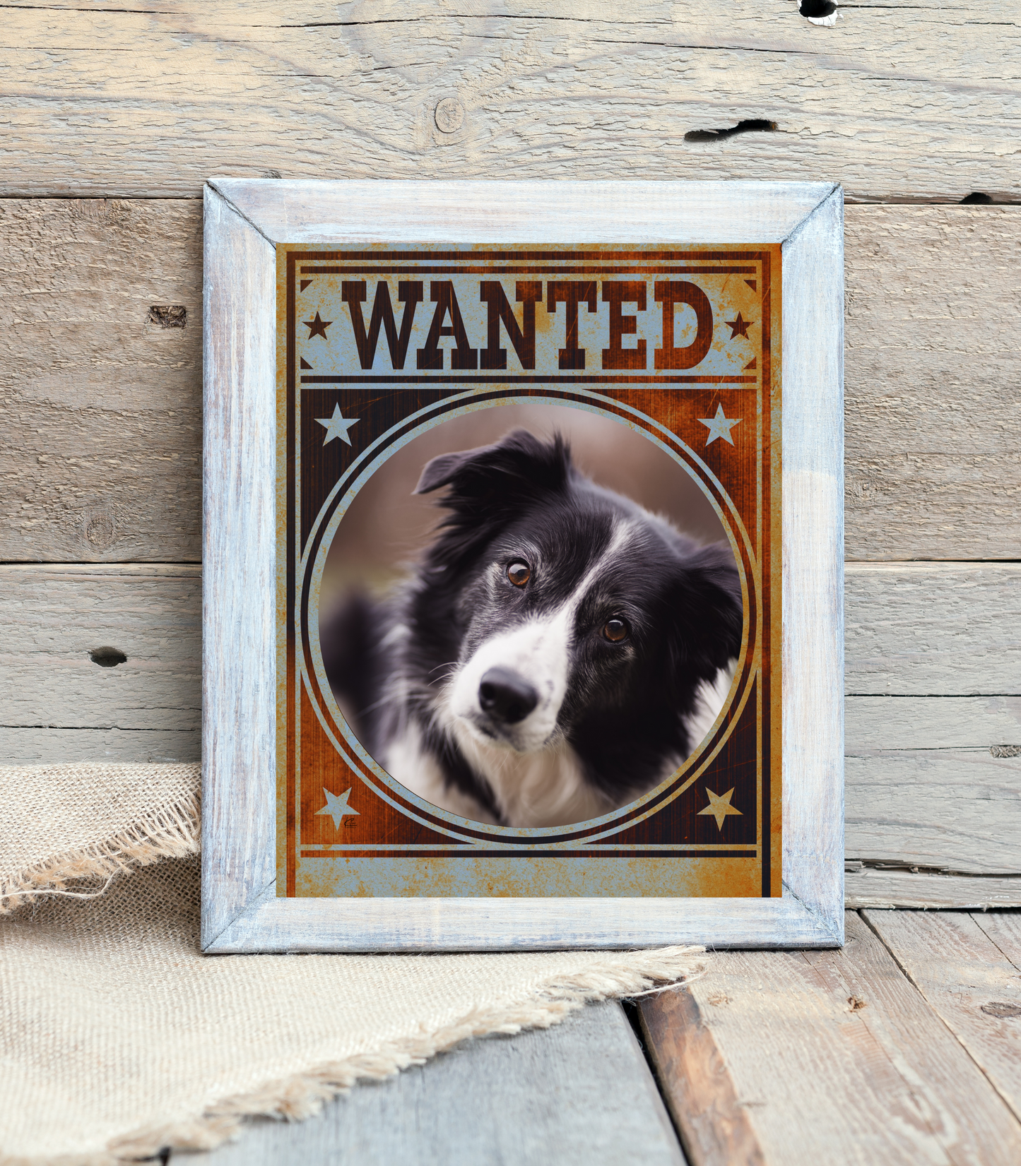 Border Collie Mug Shot Wanted Poster