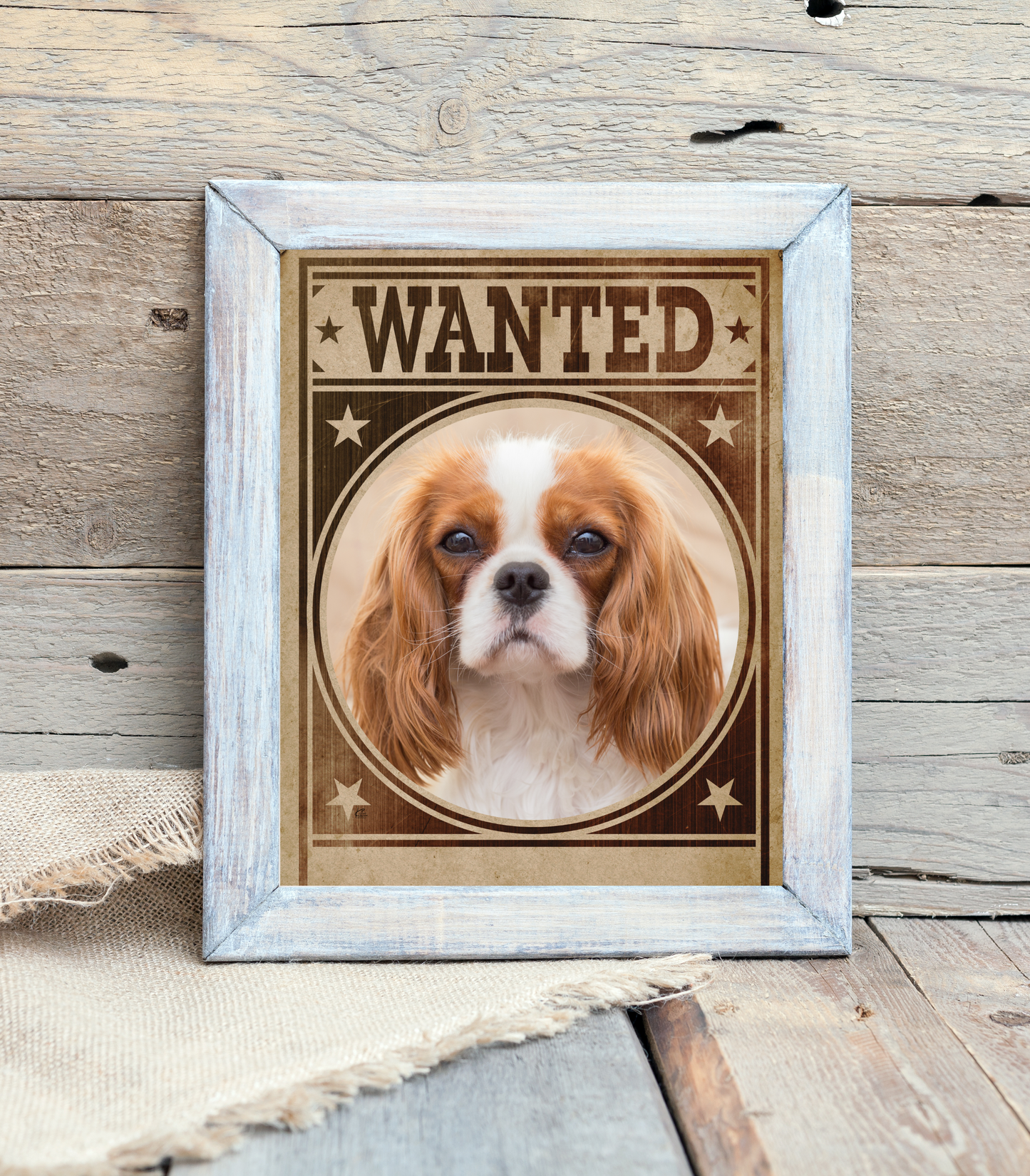 Cavalier King Charles Spaniel Mug Shot Wanted Poster