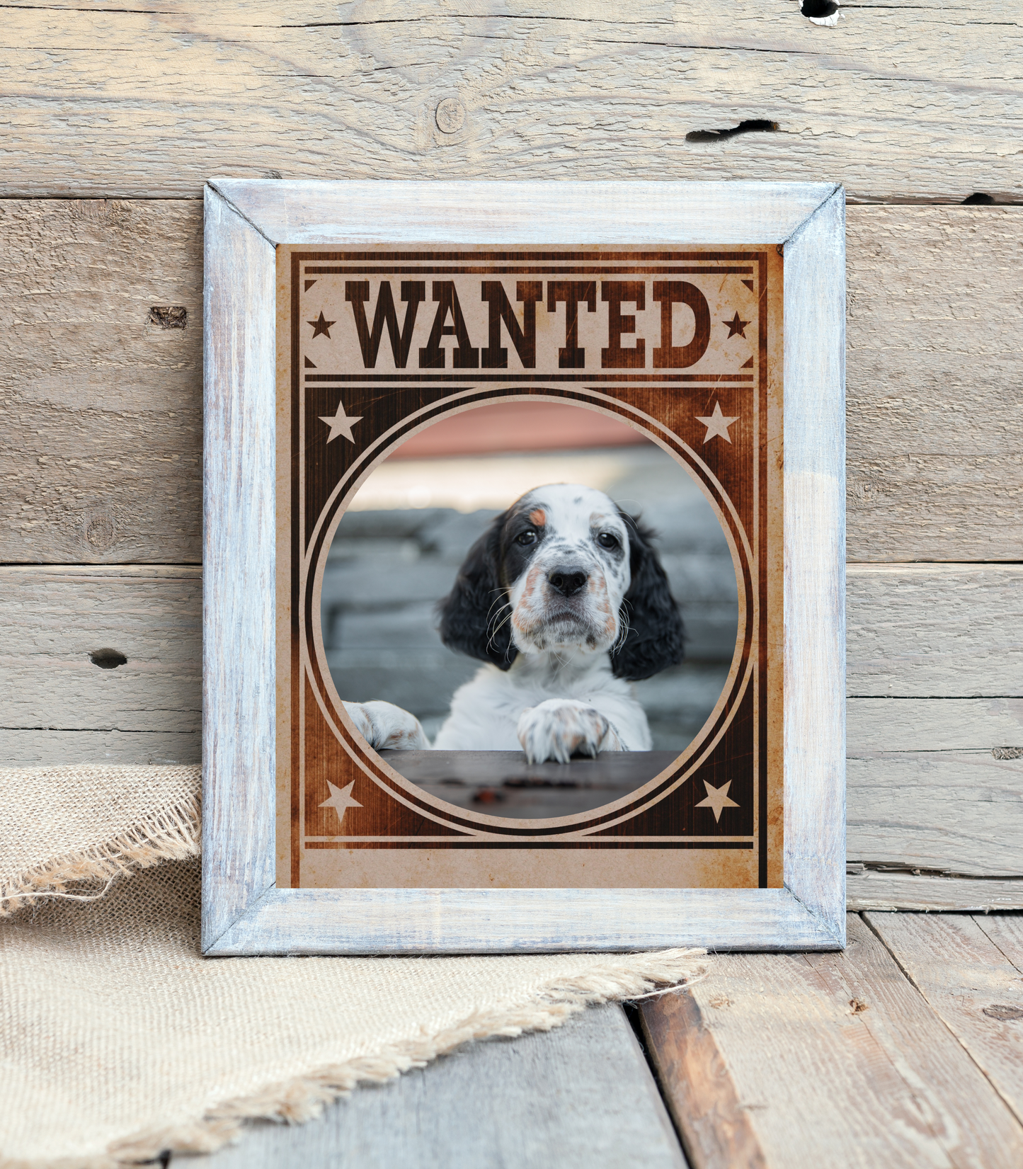 English Setter Mug Shot Wanted Poster