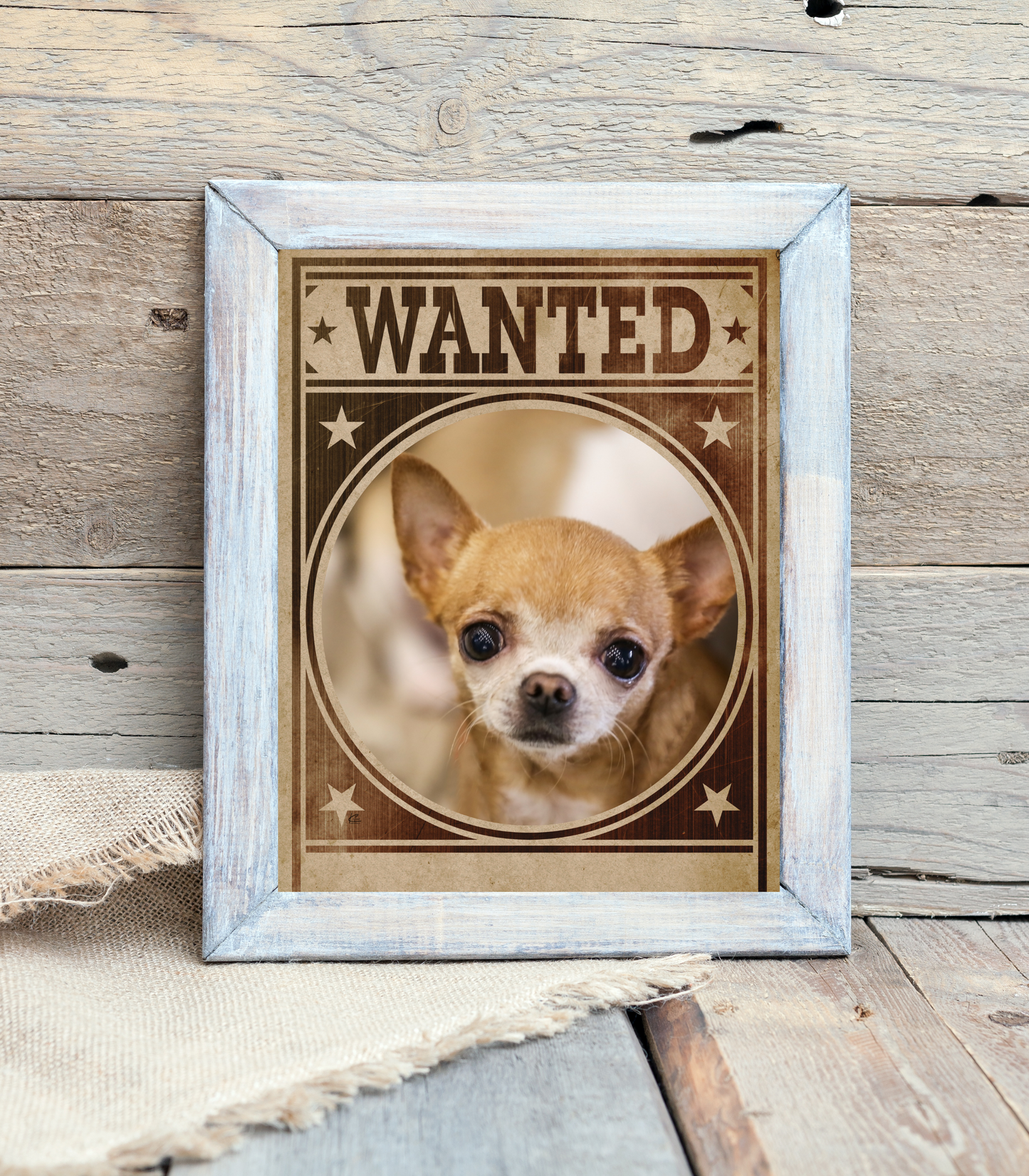 Chihuahua Mug Shot Wanted Poster