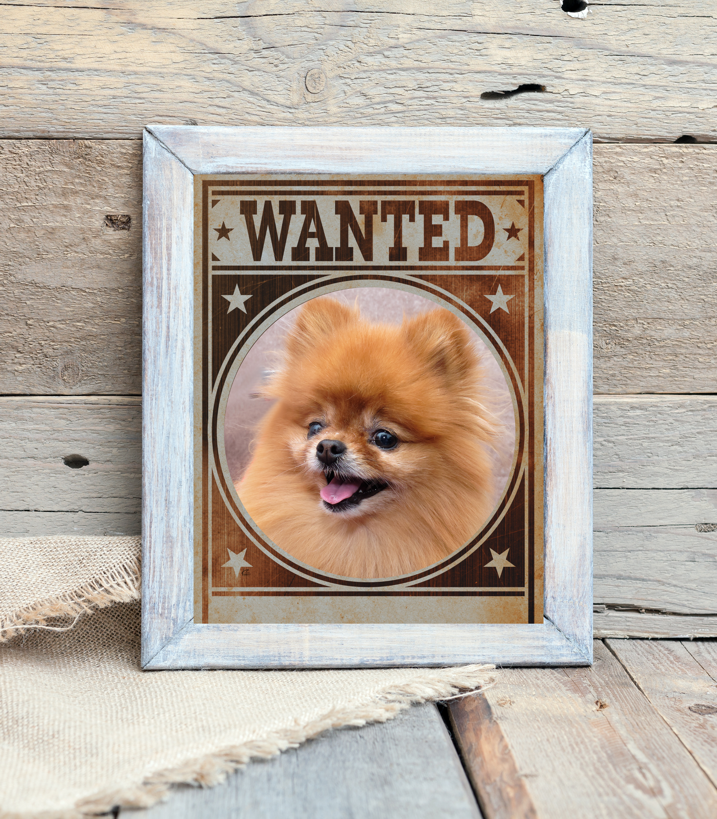 Pomeranian Mug Shot Wanted Poster