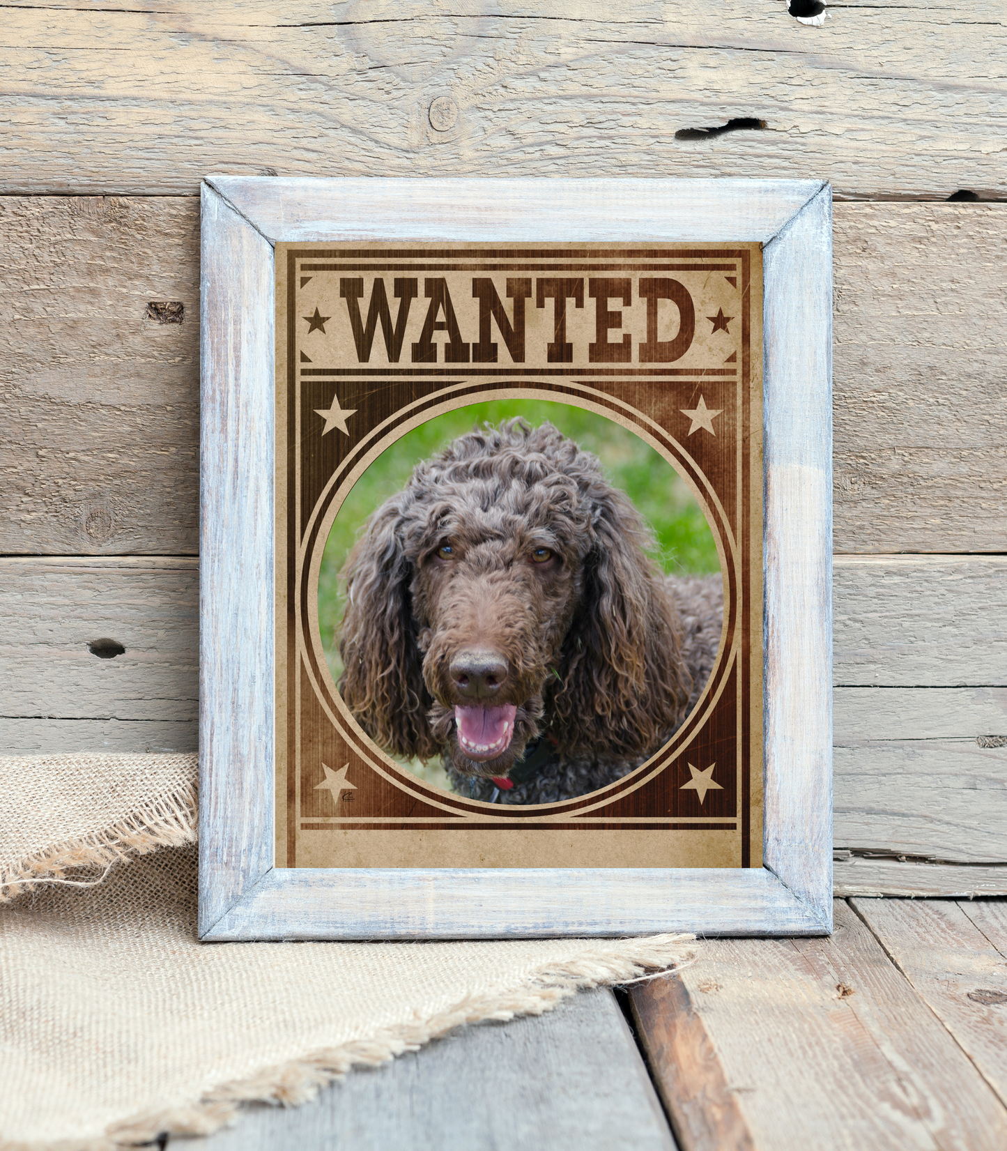 Poodle Mug Shot Wanted Poster